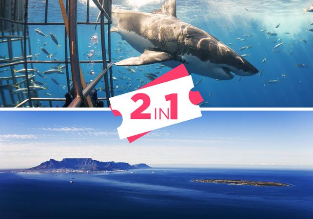 Billet Robben Island + Plongée en cage avec le grand requin blanc - Cape Town