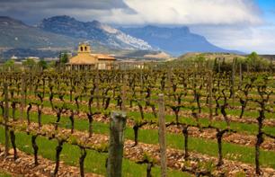 Excursion à Vitoria et dans la région viticole de Rioja - au départ de Bilbao