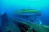 Submarine immersion off Lanzarote - Transfers included