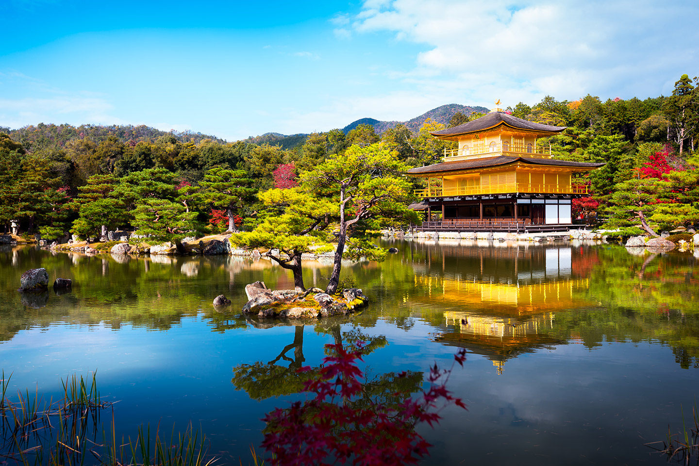 kyoto guided tour