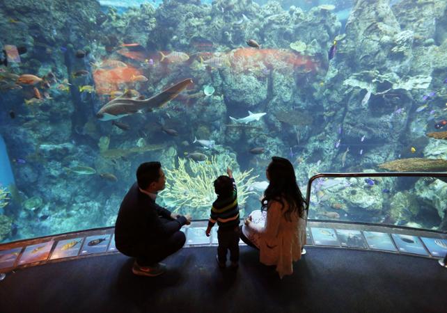 Skip-the-Line Tickets to the Aquarium of the Pacific – Long Beach (South Los Angeles)