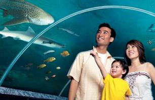 Excursion d'une demi-journée à Sentosa - Underwater world et spectacle inclus - départ de Singapour