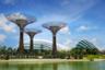 Billets pour les dômes du parc Gardens by the bay à Singapour - transport inclus
