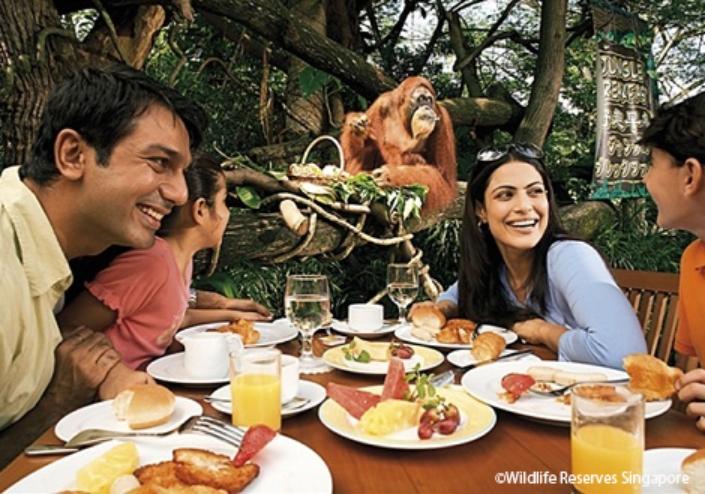 Petit déjeuner avec les singes et matinée au zoo de Singapour