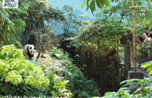 Billet parc - Zoo River Safari - transport inclus - Singapour