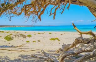 Excursion guidée sur l'île de Chrissi – Au départ d’Héraklion et sa région