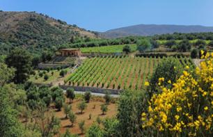 Dégustation de vin et d'huile d'olive avec déjeuner Crétois - Au départ d’Héraklion et sa région