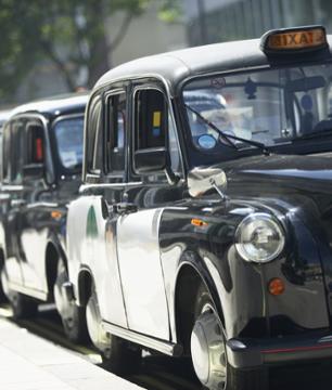 Private Royal London Tour by Black Cab