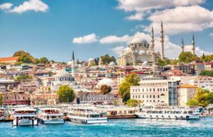 Multi-stop panoramic bus tour & Audioguide - 24-hr Pass - Istanbul