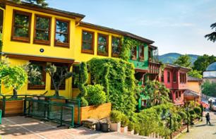 Day trip to Bursa & Mt Uludağ - Transfers and lunch included - From Istanbul