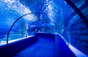 Billet coupe-file pour l'aquarium d'Antalya
