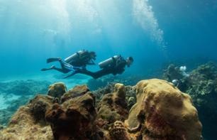 Plongée sous-marine à Antalya - Transferts et déjeuner inclus