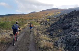 Mountain bike excursion to Mount Etna (2,000 m)