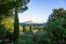 Discover the Provencal Vineyards