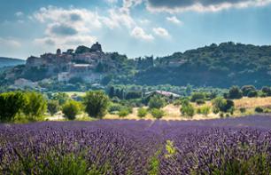 Excursion to Provence: Hilltop Villages and Markets