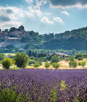 Excursion en Provence : Villages perchés et Marchés