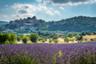 Excursion to Provence: Hilltop Villages and Markets 