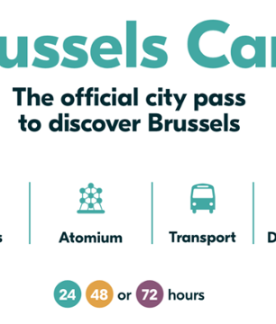 Pass Bruxelles: Musées et attractions - Transports en option