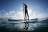 Guided Standup Paddleboard Tour in Vancouver