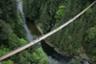 Guided Tour of Central Vancouver and Capilano Suspension Bridge