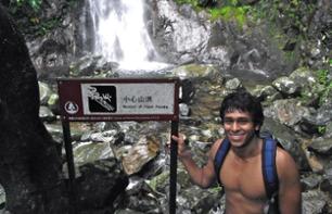 Excursion dans la jungle de Tai Mo Shan - cascades de Ng Tung Chai - Hong Kong