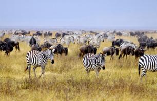 Safari privé d'une journée au parc national de Arusha (Tanzanie) - Transferts hôtel inclus