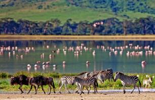 Ngorongoro Crater Private Day Safari (Tanzania) - Transfers included from Arusha
