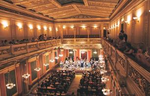Soirée VIP à Vienne : Dîner, balade en calèche & concert de Mozart et Strauss interprété par le Wiener Mozart Orchester