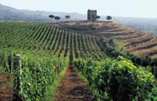 Escursione nella regione dei Castelli Romani - degustazione di vini