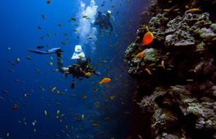 Plongée sous-marine à Zanzibar (tous niveaux)