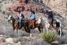 Horse Ride and Cowboy Meal in the Valley of Fire