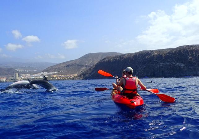 Kayaking with the dolphins & swimming with the turtles - Tenerife