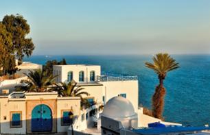 Private Half-day Excursion To Sidi Bou Said And Visit To Tunis Medina ...