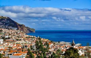 48-hr pass: Multi Stop Bus, Dolphin Watching Cruise & Wine Tasting - Madeira