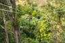 Treetop Adventure Course in the Kohala region (North of Big Island) - Hawaii