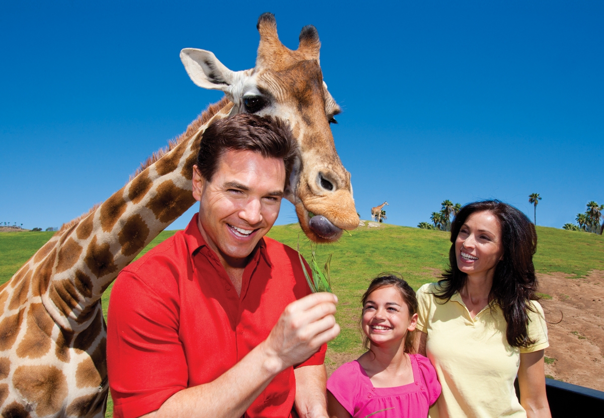 visit-san-diego-safari-park-san-diego-safari-park-s-ticket-ceetiz