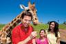 Billet coupe-file Safari Park - Le safari grandeur nature du Zoo de San Diego