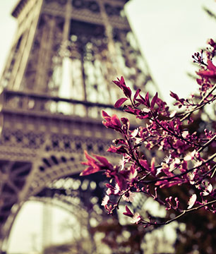 La Tour Eiffel : billet pour l'insolite