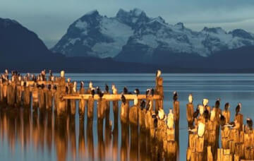 Puerto Natales (Patagonie)